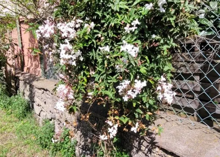 招待所 Chez Regine