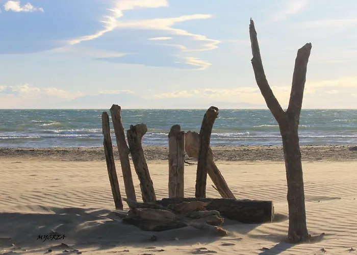 Chez Regine 招待所