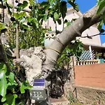 Chez Regine Гостьовий будинок Агд