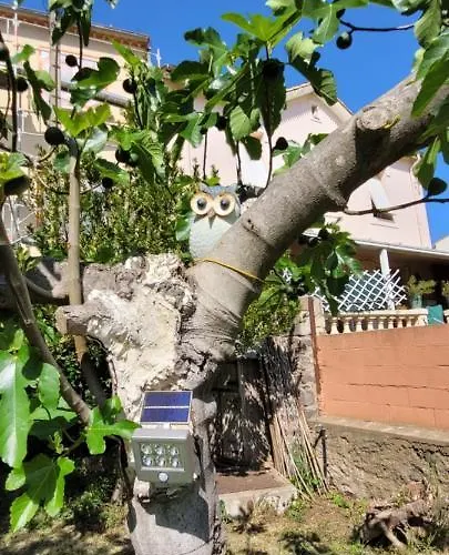 Chez Régine Maison d'hôtes Agde